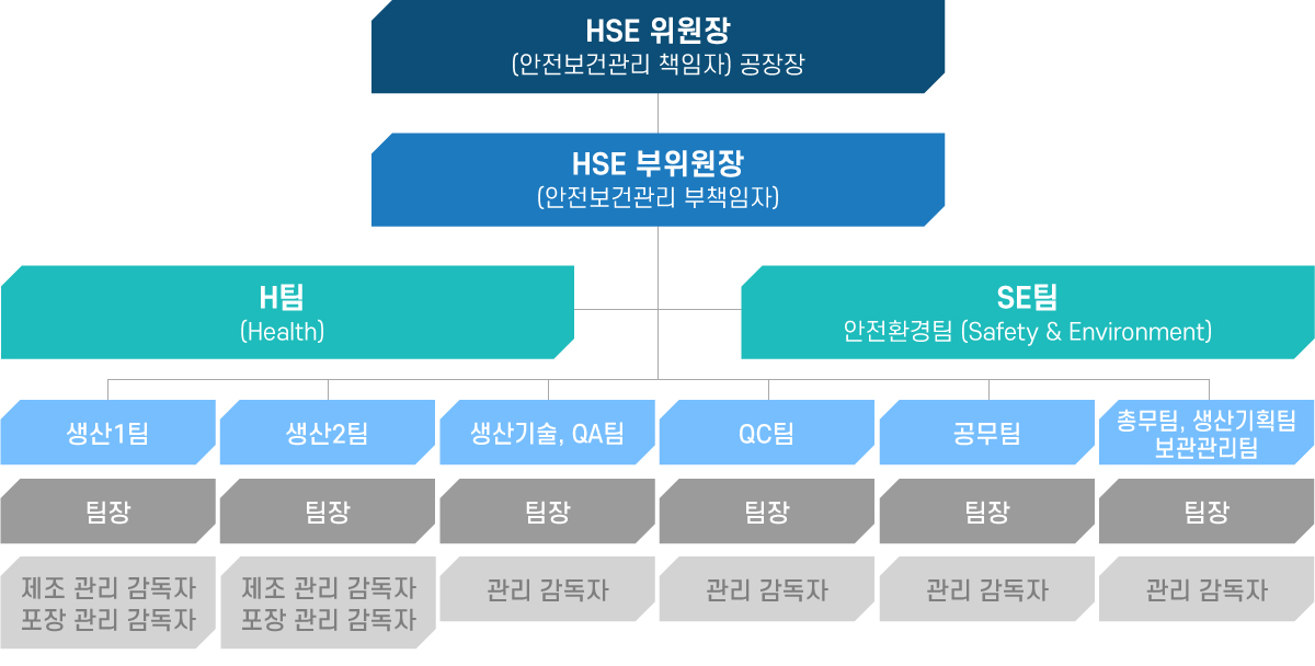 HSE 추진체게 조직도